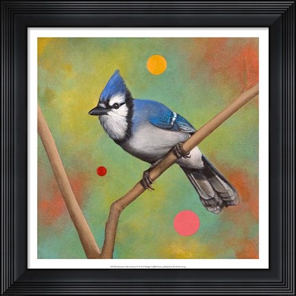 Framed Mysteries of the Universe VI Print