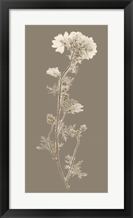 Framed Taupe Nature Study I Print