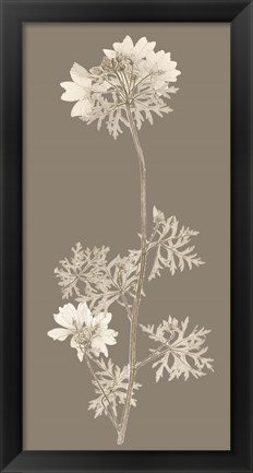 Framed Taupe Nature Study II Print