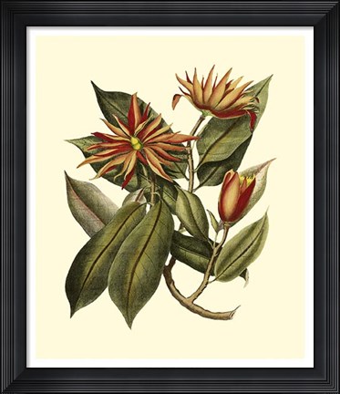 Framed Magnificent Foliage I Print