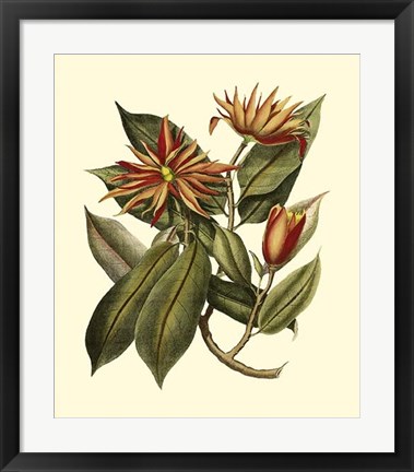 Framed Magnificent Foliage I Print