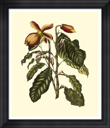 Framed Magnificent Foliage II Print