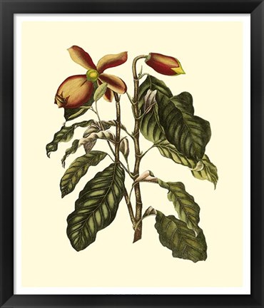 Framed Magnificent Foliage II Print