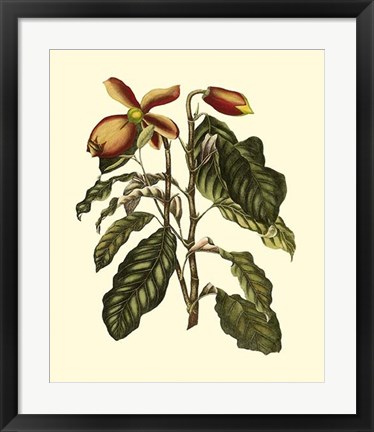 Framed Magnificent Foliage II Print