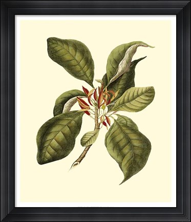 Framed Magnificent Foliage III Print