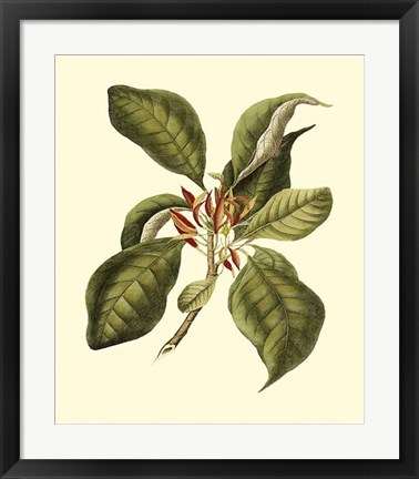 Framed Magnificent Foliage III Print