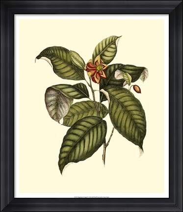Framed Magnificent Foliage IV Print