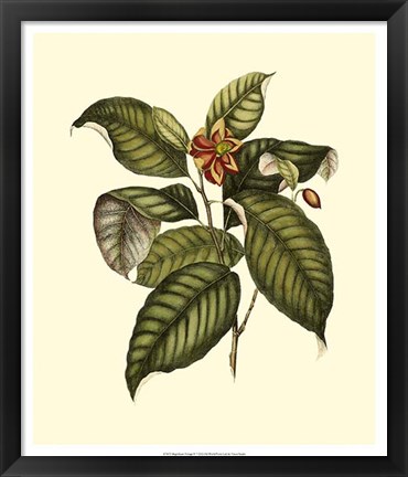 Framed Magnificent Foliage IV Print