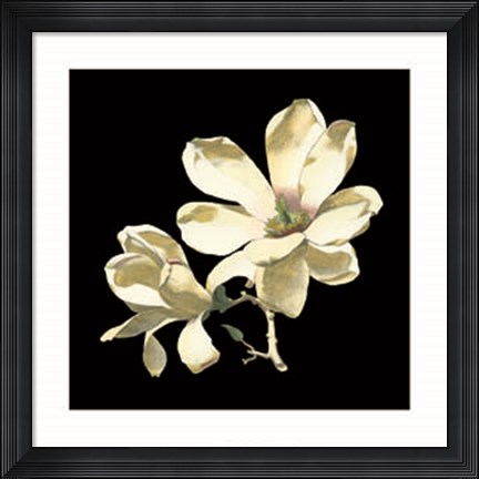 Framed Midnight Magnolias I Print