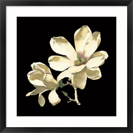 Framed Midnight Magnolias I Print