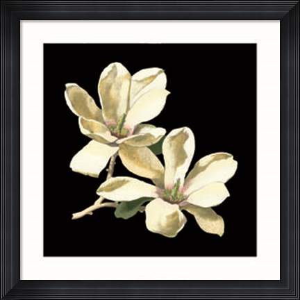 Framed Midnight Magnolias II Print