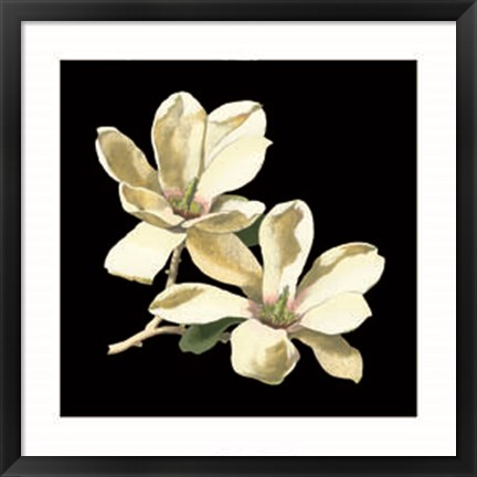 Framed Midnight Magnolias II Print