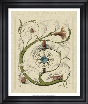 Framed Decorative Flourish III Print
