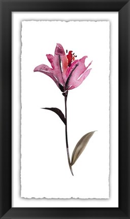 Framed Floral Watercolor II Print