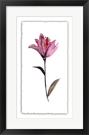 Framed Floral Watercolor II Print