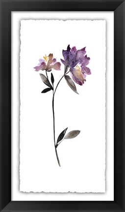 Framed Floral Watercolor III Print