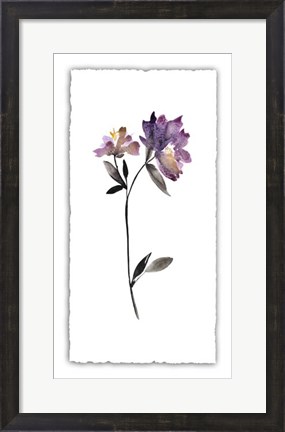 Framed Floral Watercolor III Print