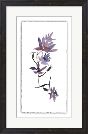 Framed Floral Watercolor IV Print