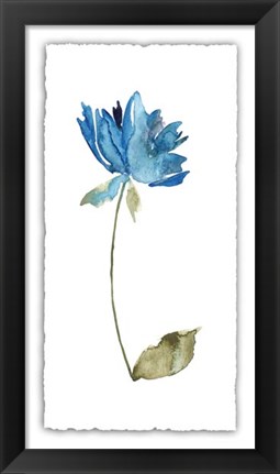Framed Floral Watercolor VI Print