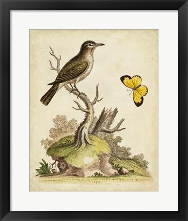 Framed Companions in Nature I Print