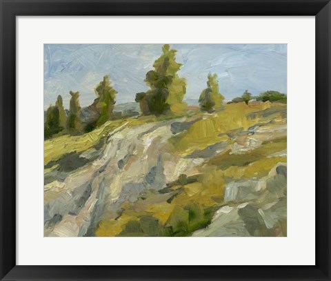 Framed Impasto Mountainside II Print