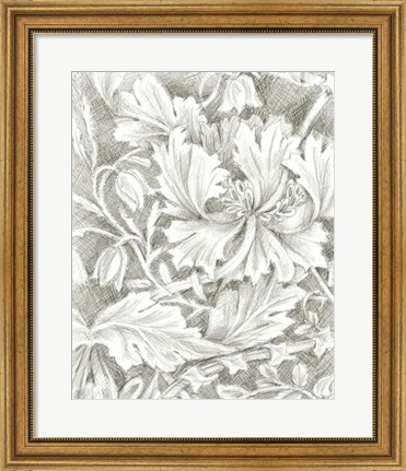 Framed Floral Pattern Sketch I Print