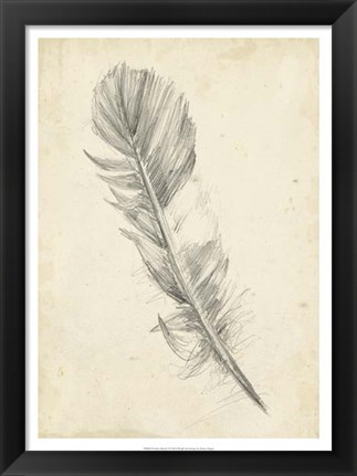 Framed Feather Sketch I Print