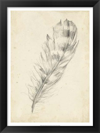 Framed Feather Sketch II Print