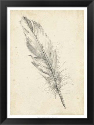 Framed Feather Sketch III Print