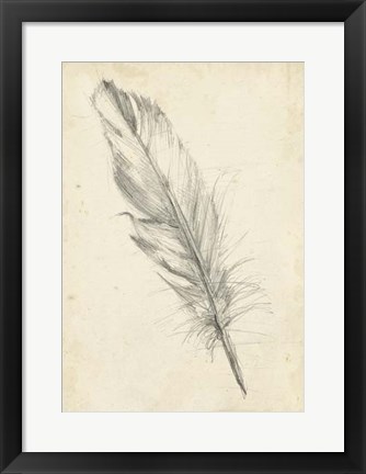 Framed Feather Sketch III Print