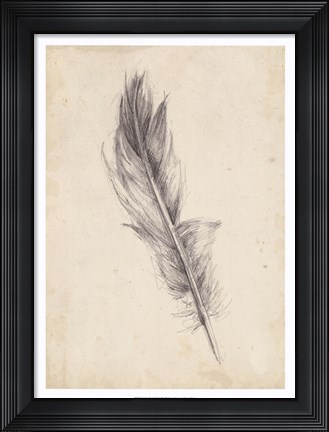 Framed Feather Sketch IV Print