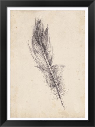 Framed Feather Sketch IV Print