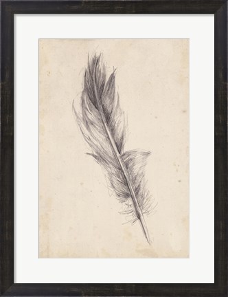 Framed Feather Sketch IV Print