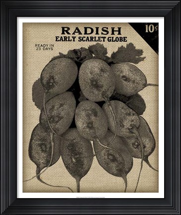 Framed Vintage Seed Pack I Print