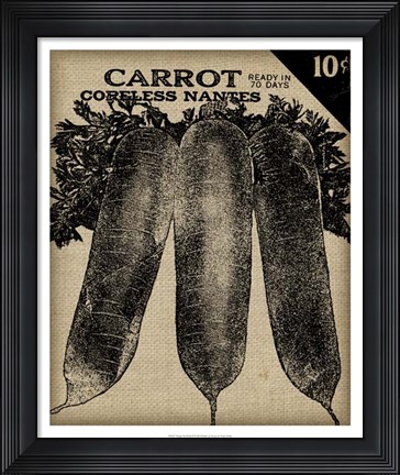 Framed Vintage Seed Pack II Print
