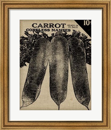 Framed Vintage Seed Pack II Print