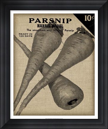 Framed Vintage Seed Pack IV Print