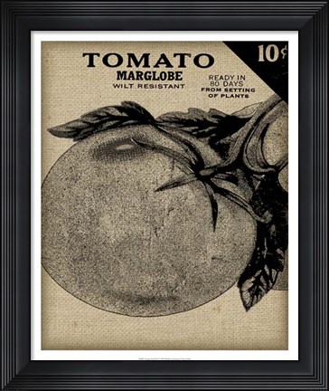 Framed Vintage Seed Pack V Print