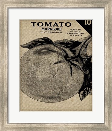 Framed Vintage Seed Pack V Print