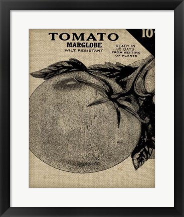 Framed Vintage Seed Pack V Print