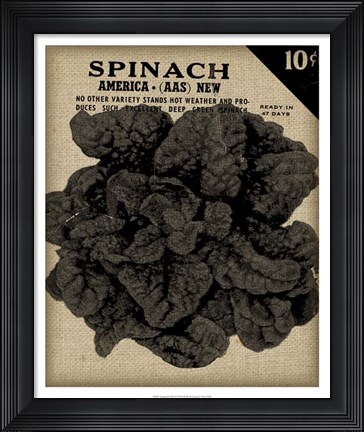 Framed Vintage Seed Pack VI Print