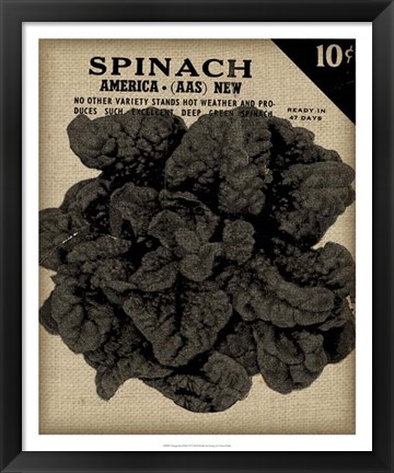 Framed Vintage Seed Pack VI Print