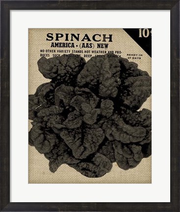 Framed Vintage Seed Pack VI Print