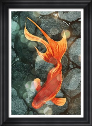 Framed Fantail I Print