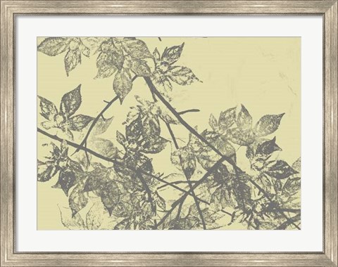 Framed Grey Leaves I Print