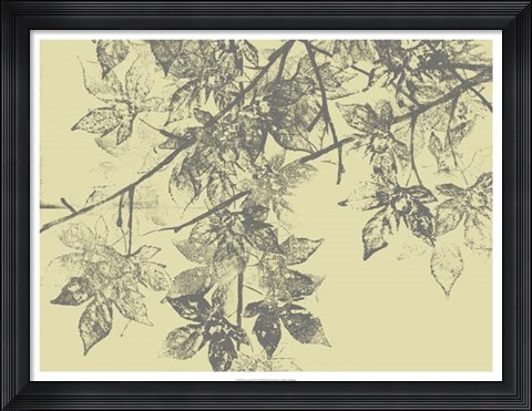 Framed Grey Leaves II Print