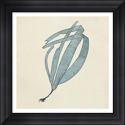 Framed Chromatic Seaweed II Print