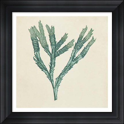 Framed Chromatic Seaweed III Print