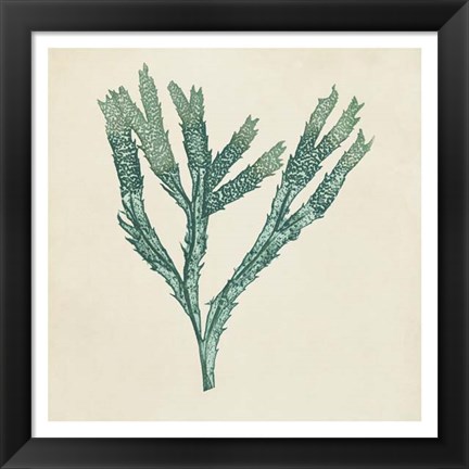 Framed Chromatic Seaweed III Print