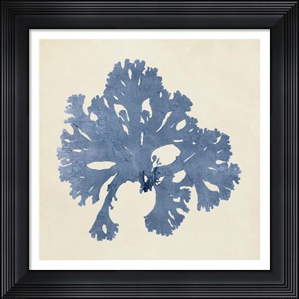 Framed Chromatic Seaweed V Print